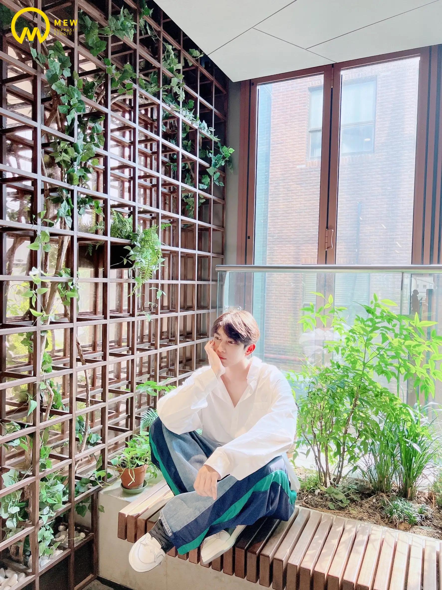 人间妄想缪苏帕图片,人间妄想缪博士