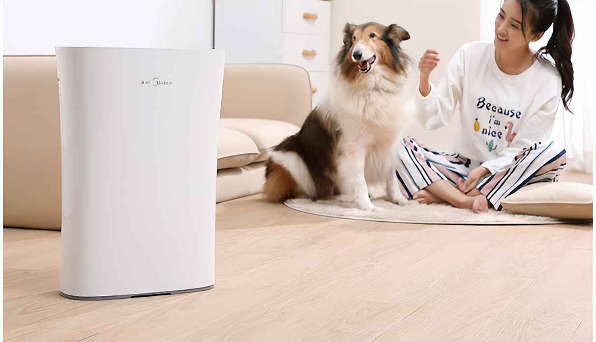 负离子空气净化器最新消息,负离子空气净化器选择攻略