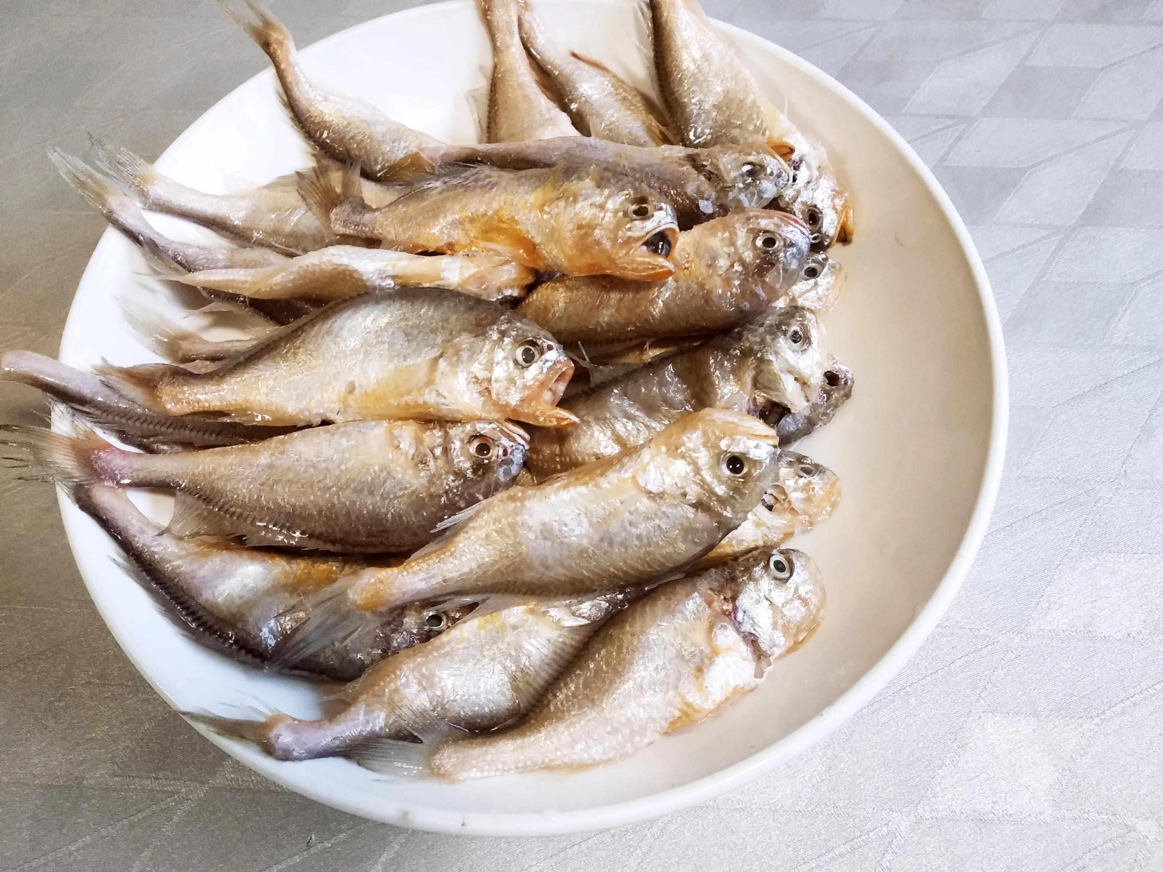 休渔期倒计时10天,休渔期黄花鱼带鱼