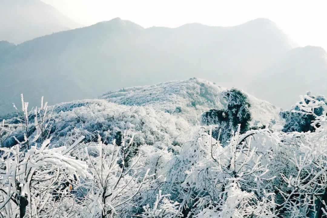 还剩10天!如何安全有仪式感地迎接元旦?这14条周边短线值得一去