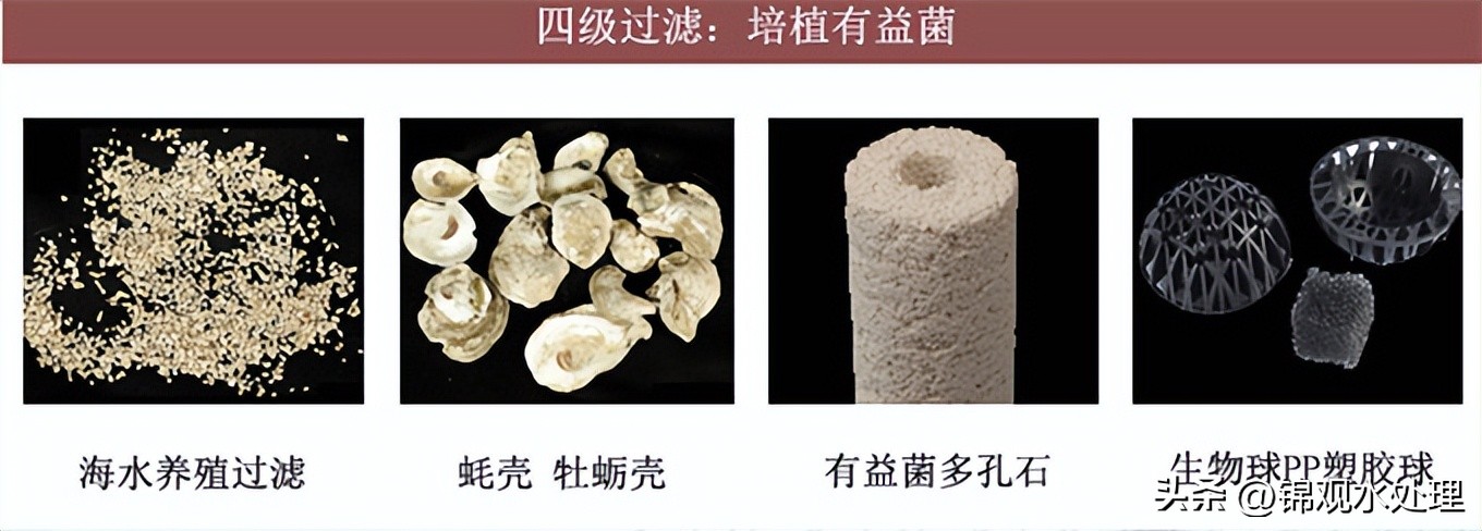 鱼池过滤毛刷安装方法,最简单高效的鱼池过滤系统设计图