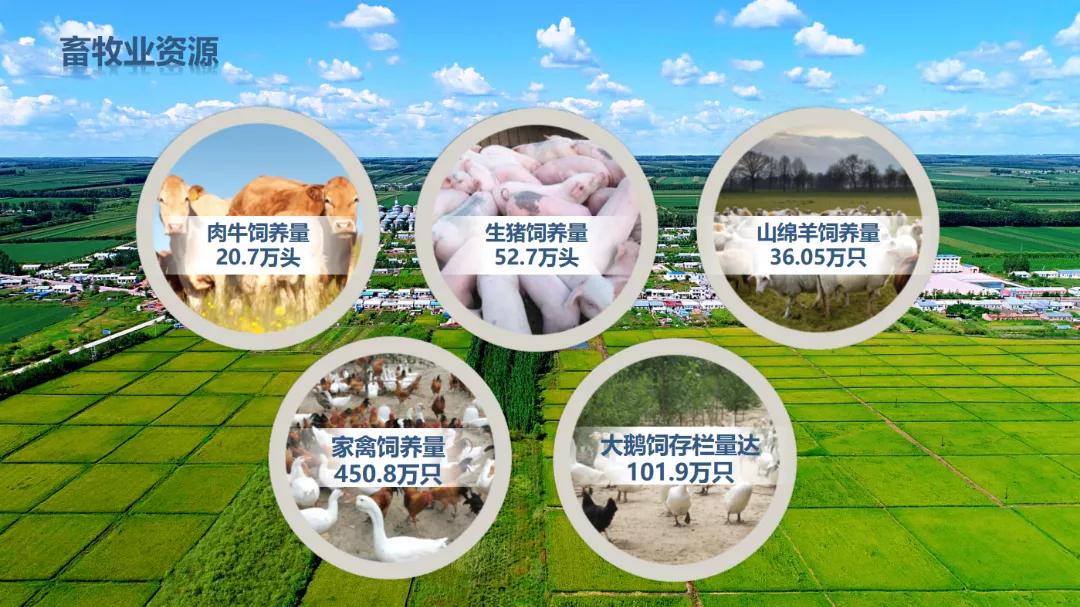 拜登支持催生新产业,黑龙江省拜泉县发展规划