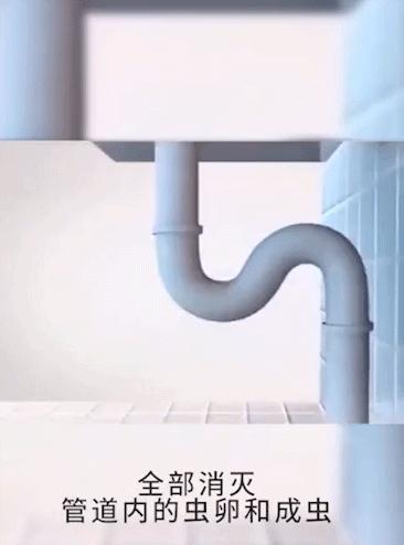 卫生间有小黑虫怎么去除最好方法,卫生间地板上有小黑虫怎么办