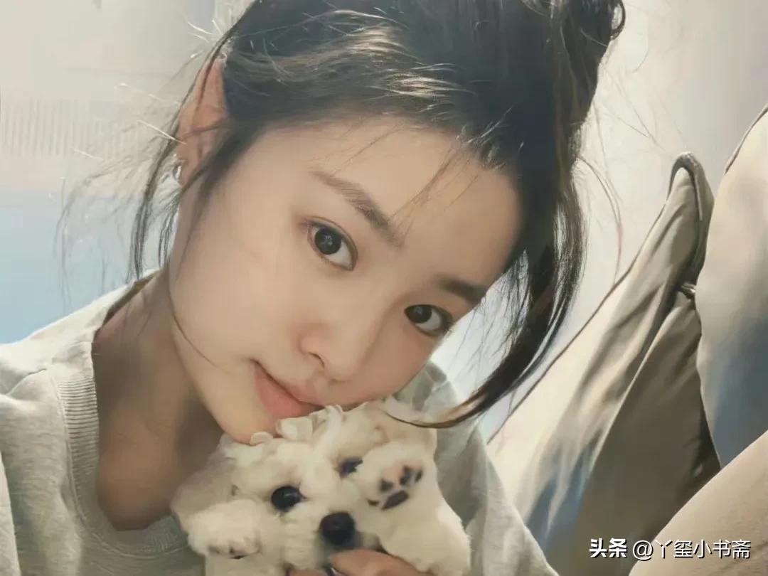 云山边上的陆家庄，火光冲天，火光在夜色中跳跃吞噬着无数的生命