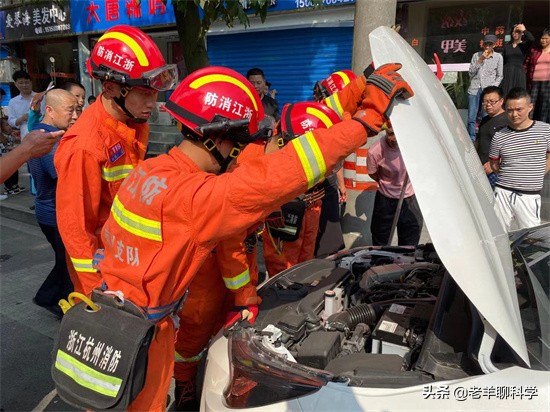 男子夜钓打5条蛇,男子半夜开车蛇在车窗