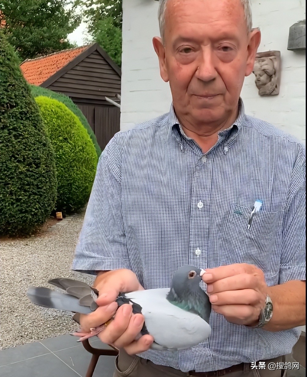 涔旀柉涔旀．楦界郴,涔旀柉涔旀．鍘熸绉嶉附