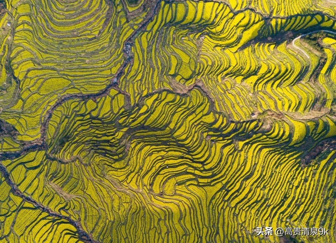 鐭湡鏃呮父鏀荤暐閰掑簵鎺ㄨ崘,涔愬北灏忎紬韪忔槬鎵撳崱鍦扮偣鎺ㄨ崘