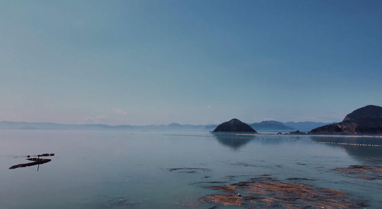 福建便宜的房子,福建哪里海景房值得投资