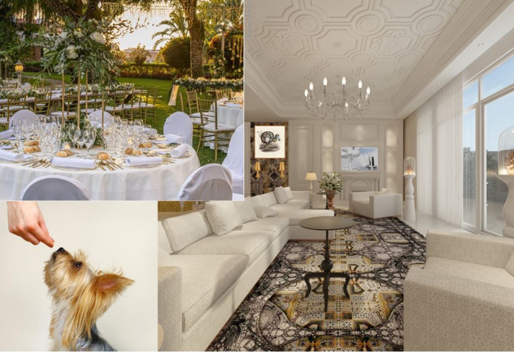 蛟龙穿云别墅在哪里,蛟龙穿云