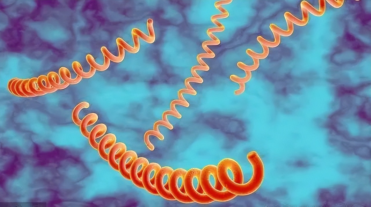 公共厕所马桶细菌对女性的危害,公共卫生间马桶有细菌吗