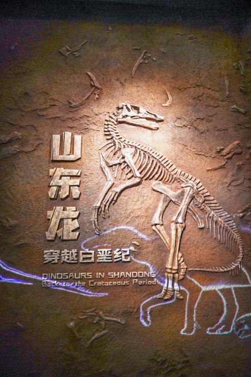 中国十大恐龙图鉴,100种恐龙名字图鉴图文