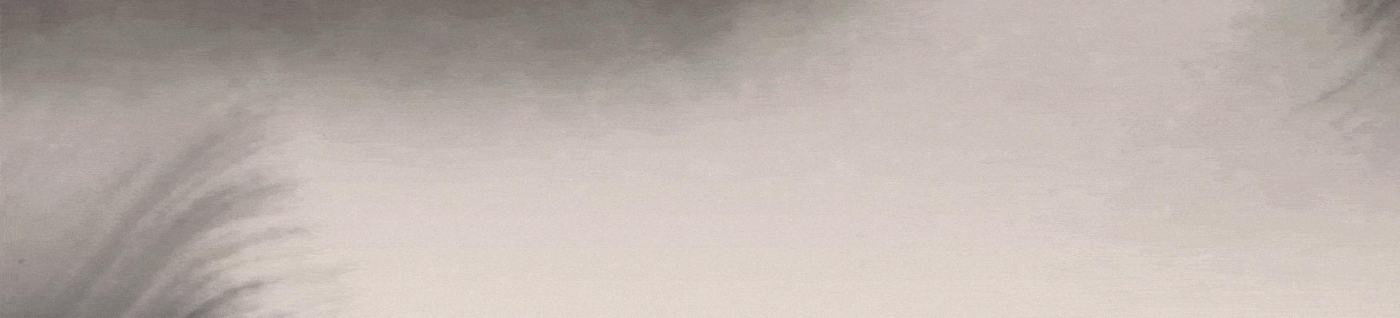 古代中的宦官是怎样形成的,中国历代宦官全传