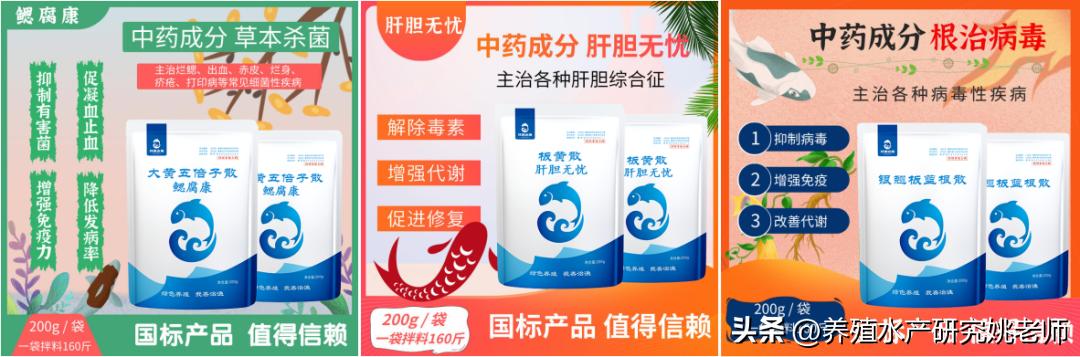 鲫鱼大红鳃病与鳃出血病的区别,鲫鱼鳃出血是什么原因