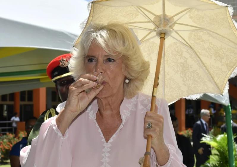 70岁卡米拉,75岁的卡米拉气场全开如女王