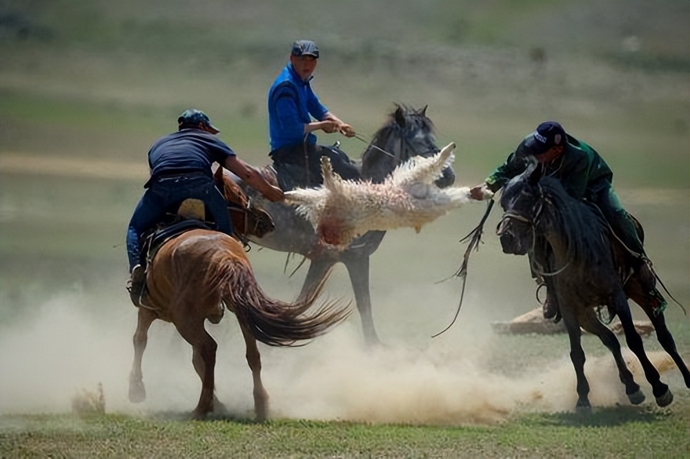 人狼生存搏杀：西伯利亚狼吃羊杀马，牧民雪地摩托杀狼|故事
