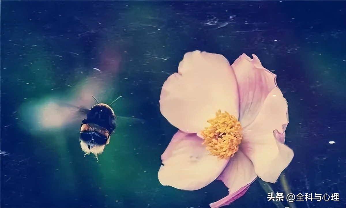 人生哲理人生感悟的经典句子,感悟人生哲理语录经典透彻