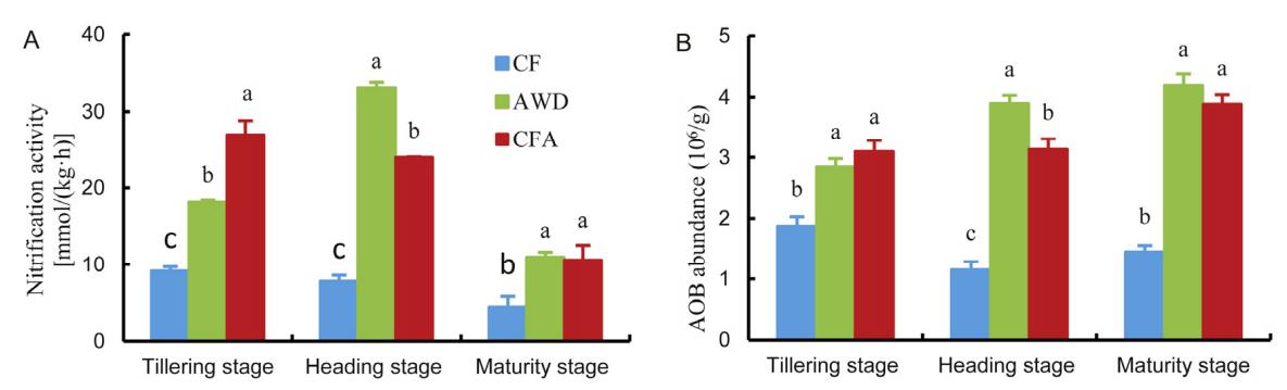 促进水稻氮素吸收利用的途径,促进水稻根系生长的措施