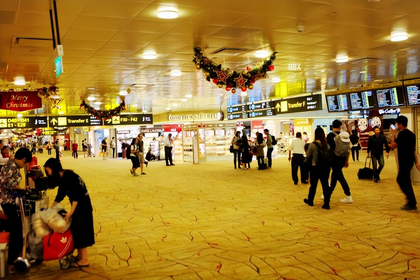 新加坡樟宜机场的仙人掌花园,新加坡最美机场在哪个航站楼