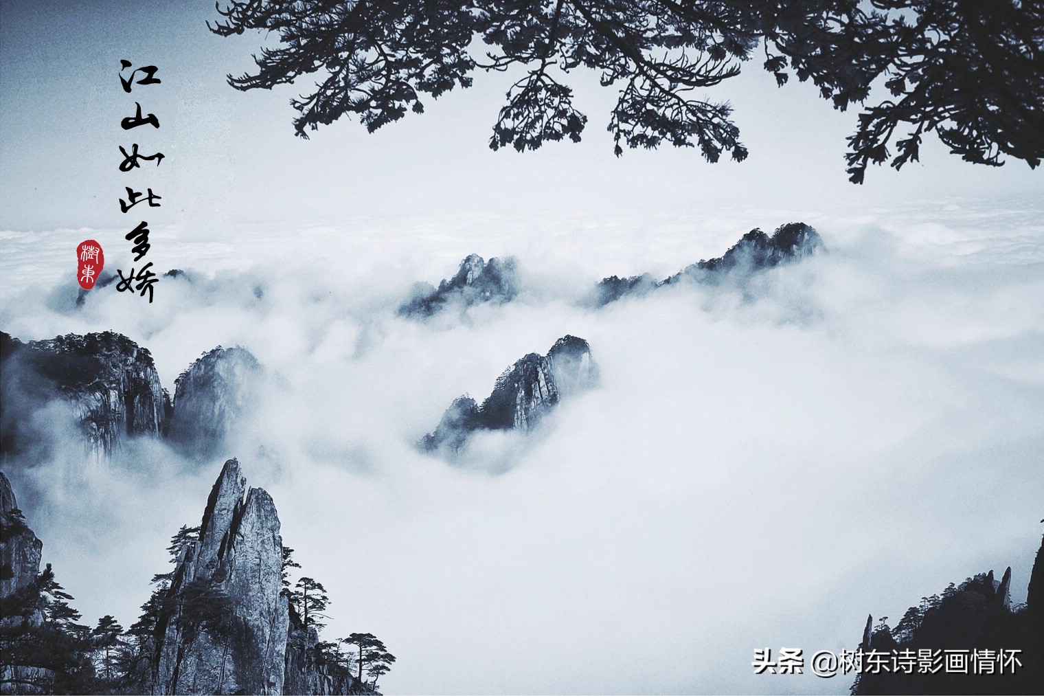 大雪压青松青松挺且直是谁写的诗,大雪压青松青松挺且直象征意义