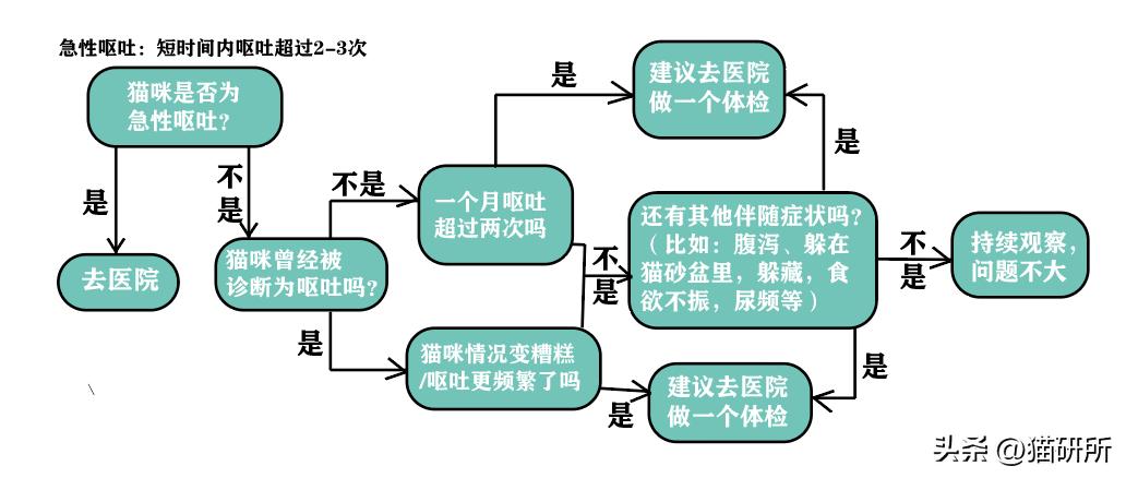猫咪呕吐物判断表图解,怎么判断猫咪呕吐物是不是血