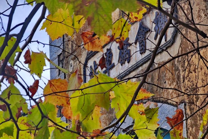 这座好吃好玩好住的云南小城，我劝你一定早点去