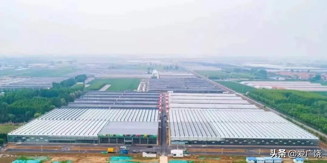 我县召开2022年度重点项目谋划会,全县下半年重点项目观摩