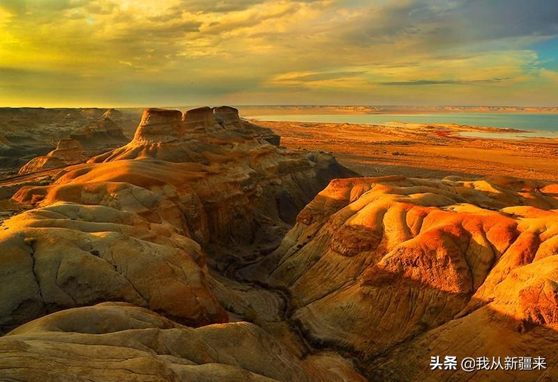 omg眼影青蓝紫 (omg眼影)