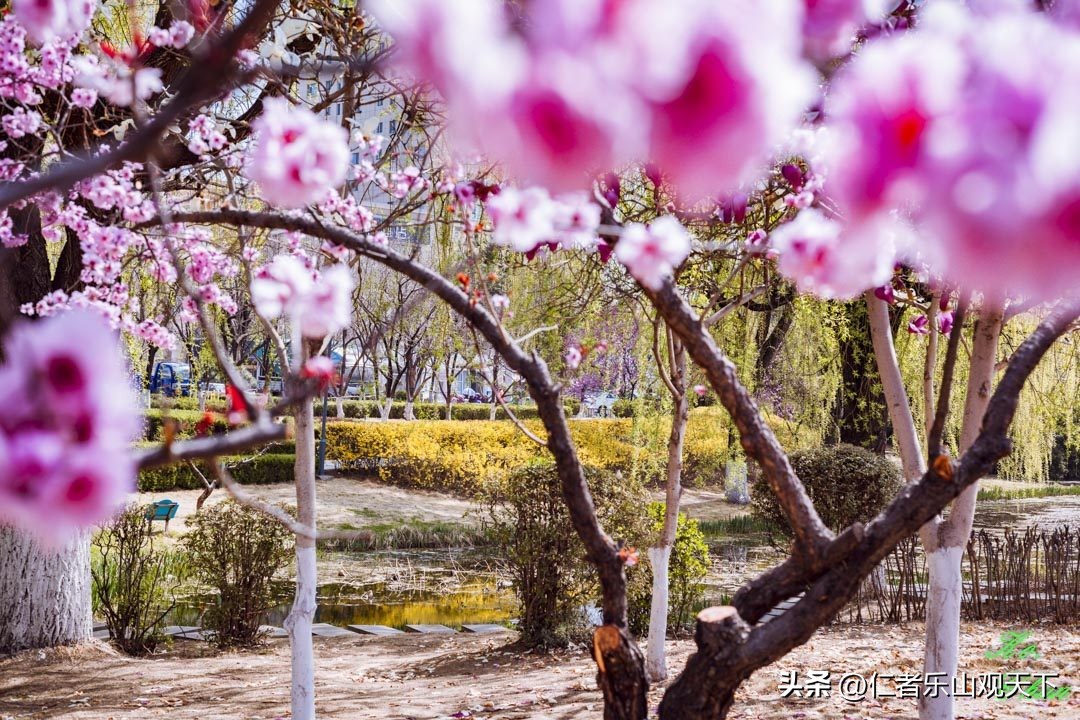 丧家的资本家乏走狗原文,丧家的资本家乏走狗指的是谁