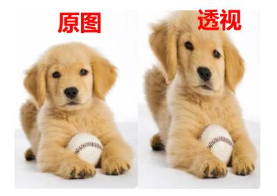 轻量级图像增强,图像增强的展望