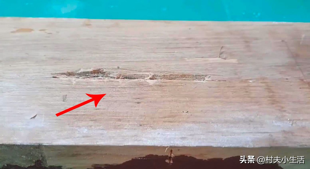 小苏打加上502胶水，到底有多强？看后又学一招