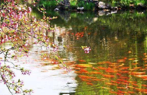 读10首春日诗词充满了希望和力量,最经典早春诗词