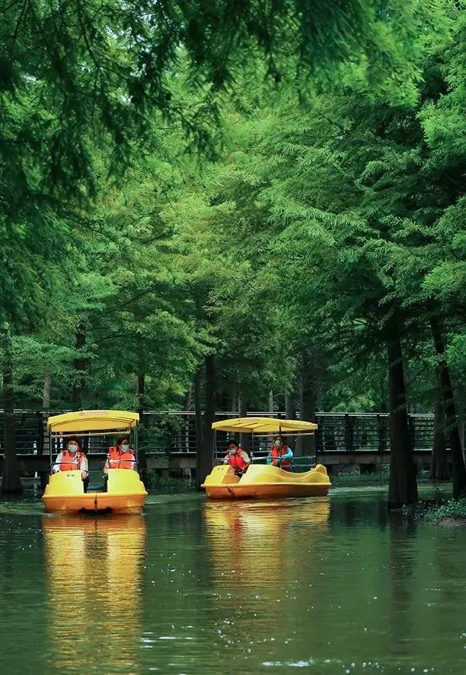 上海五一必打卡水上乐园推荐,上海好玩又免费的地方水上游