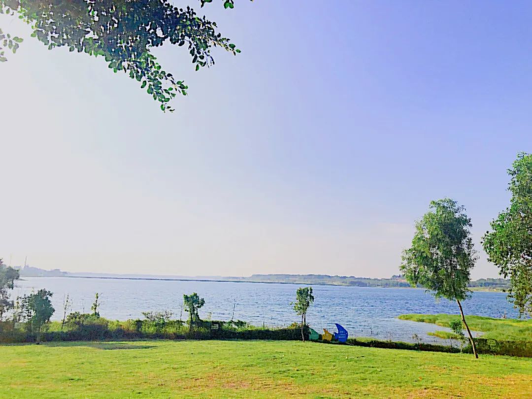 美食之都潮汕,广东茂名的特色美食水果