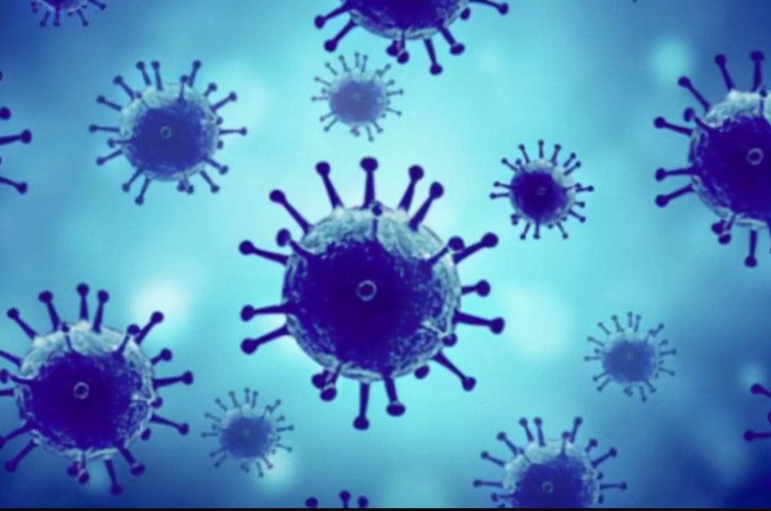 地球上最大的史前蛇,地球最大的水蛇