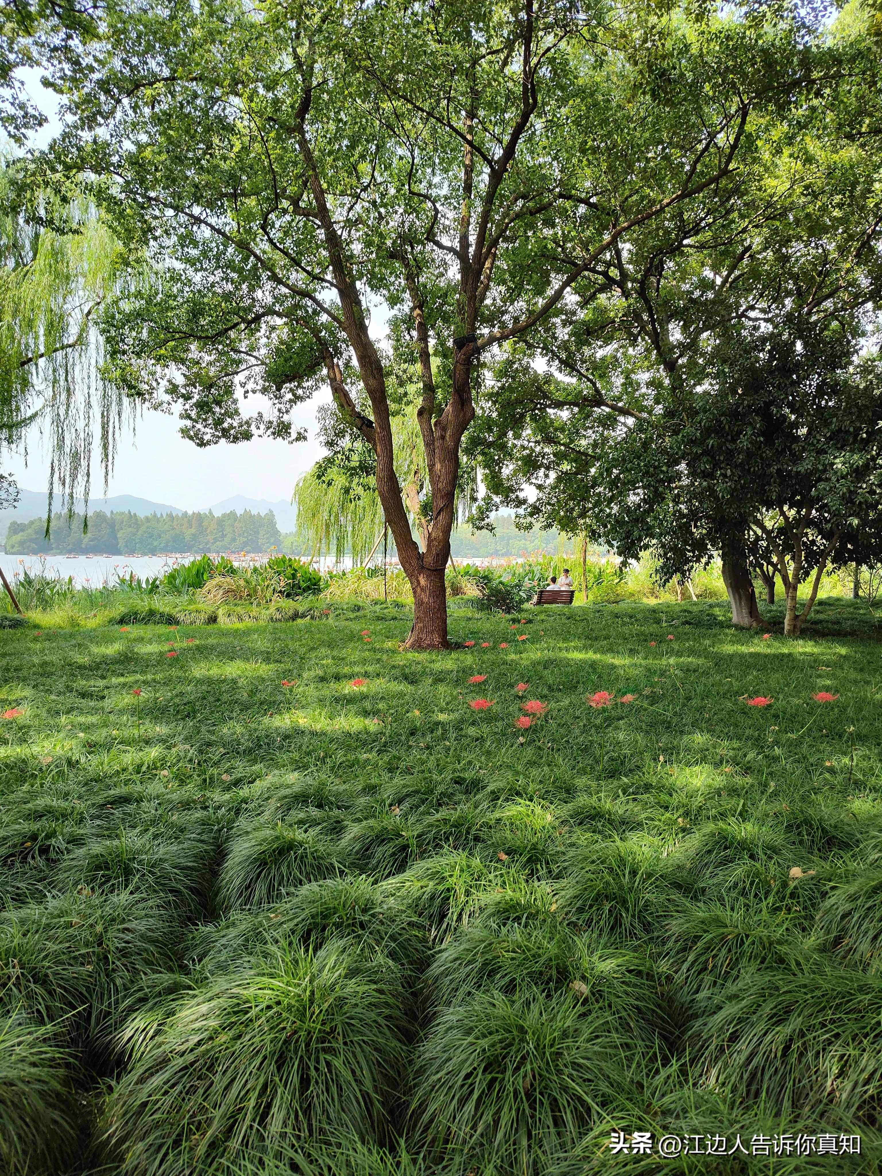 正确认识“群众眼镜雪亮”的自相矛盾