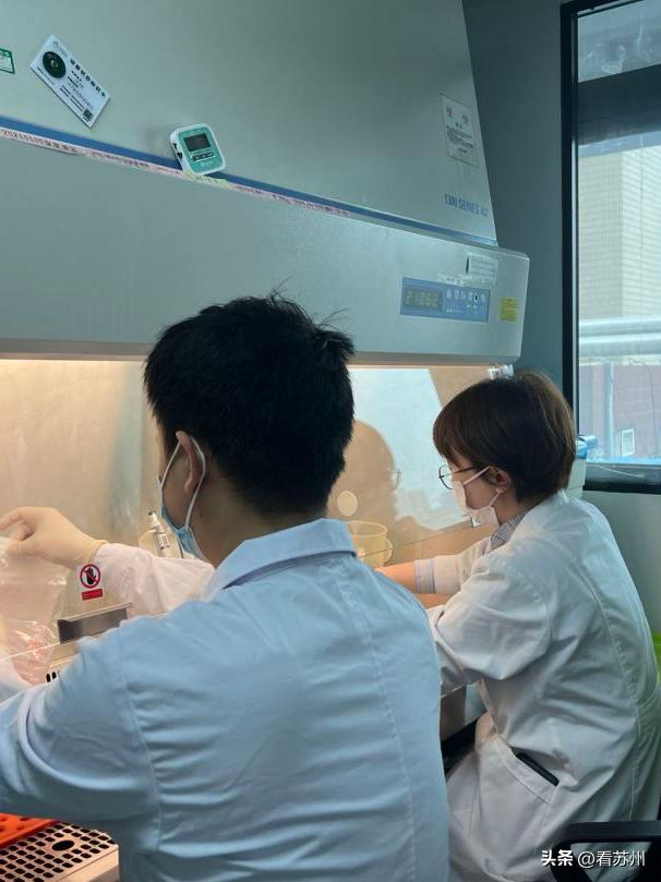 常熟市三甲级医院,常熟市三甲医院有几个