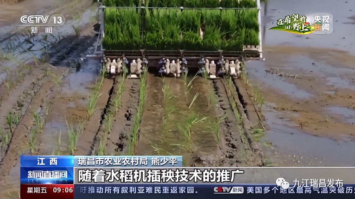 央媒看瑞昌丨一周内两次受央视关注！今日，央视《朝闻天下》和《新闻直播间》栏目关注我市智慧农业