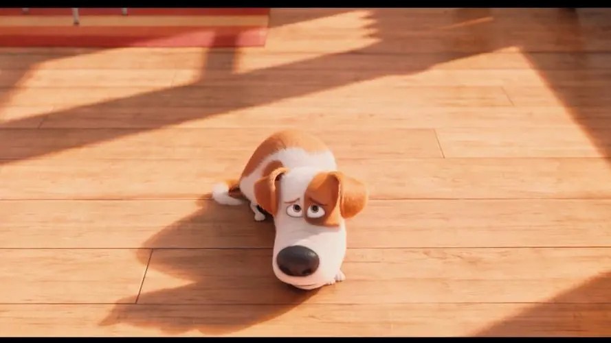 爱宠大机密这类电影推荐,welcometonewyork爱宠大机密