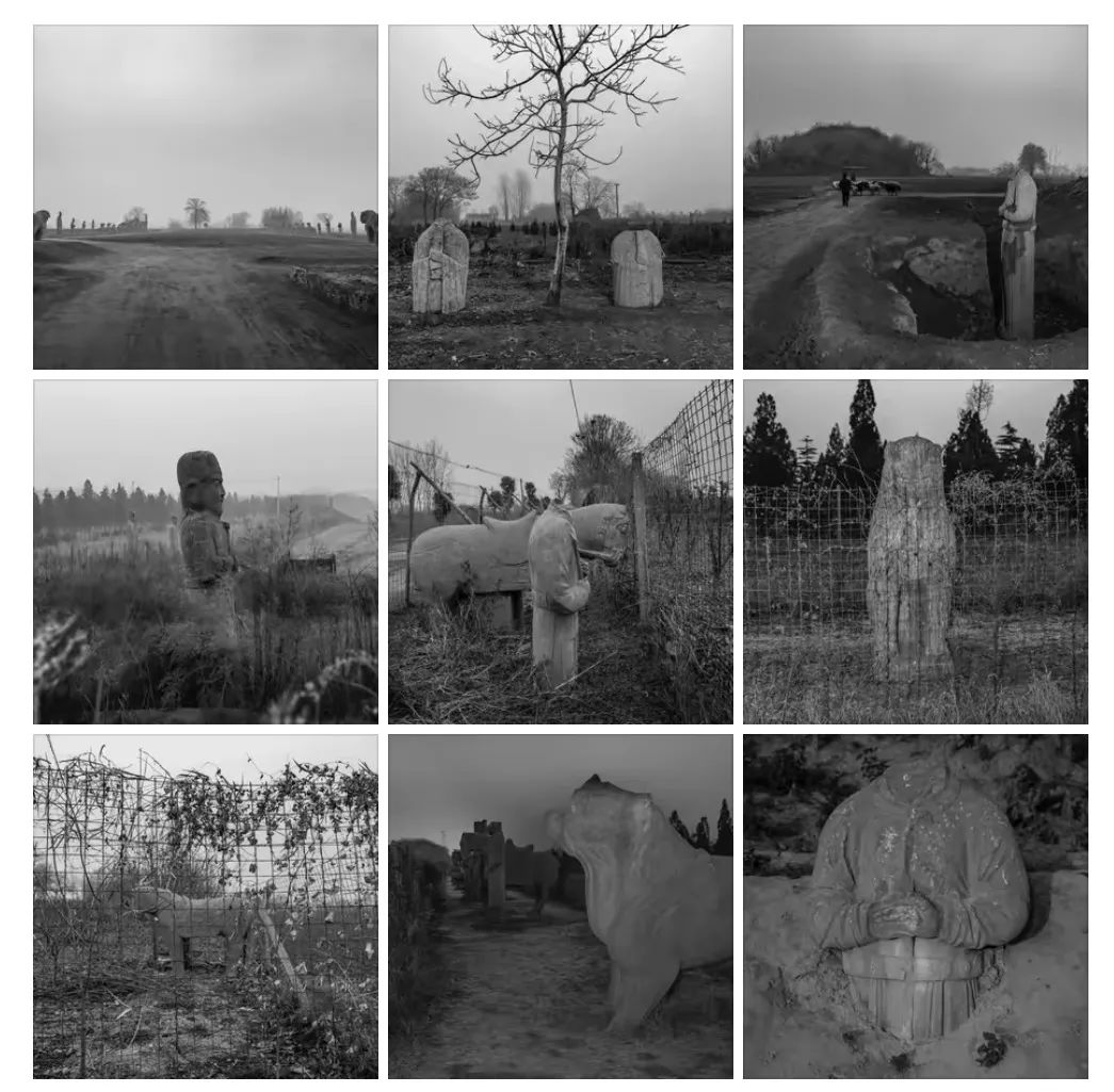 中国街拍最新头条,中国街拍每日一图