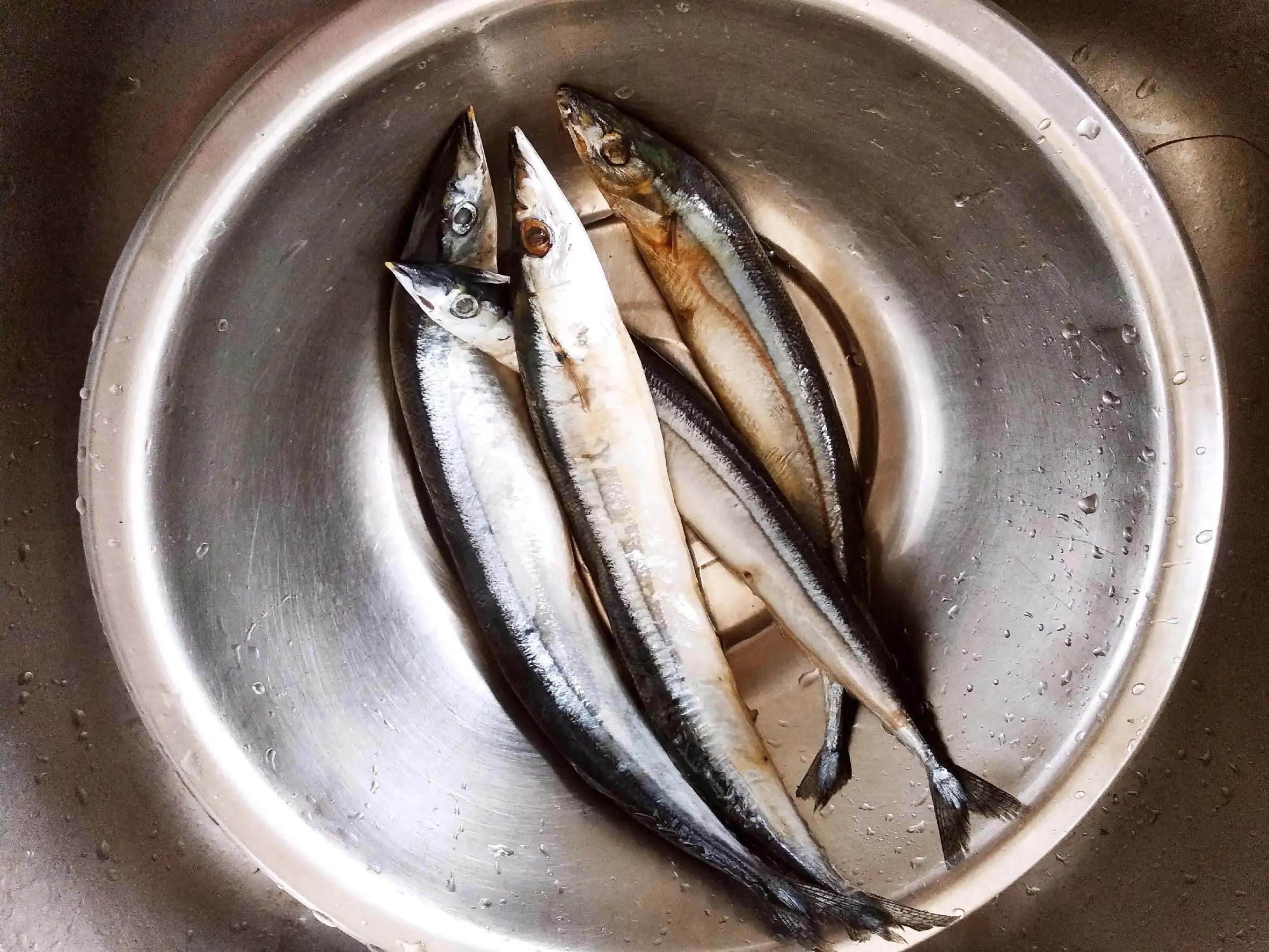 15种常见的海鱼,100种常见食用海鱼图谱