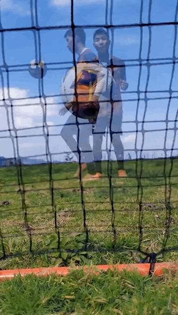 我要把拉马拍成阿甘