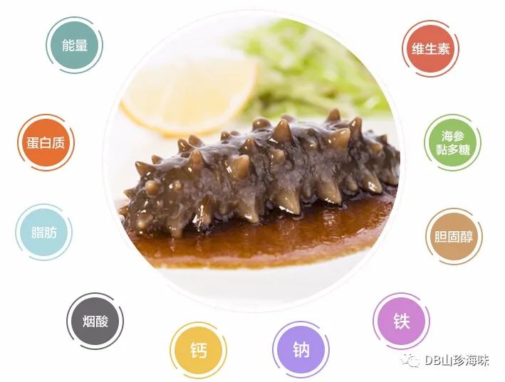 灞变笢娴峰弬鍜屽ぇ杩炴捣鍙傜殑鍖哄埆,濞佹捣娴峰弬鍜屽ぇ杩炴捣鍙傜殑鍖哄埆