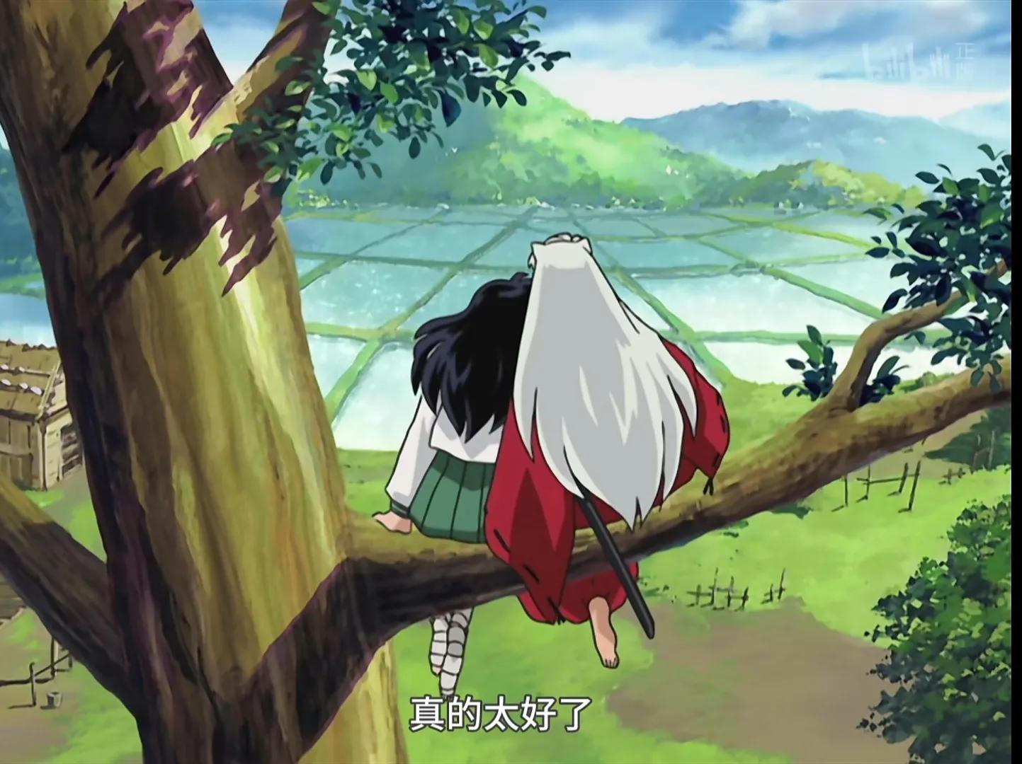 犬夜叉记忆深刻的动漫,你看过的第一部动漫犬夜叉