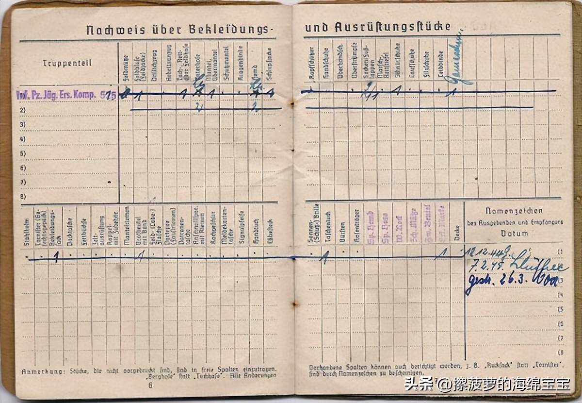 二战时德国军人的肩章,二战德国兵种领章