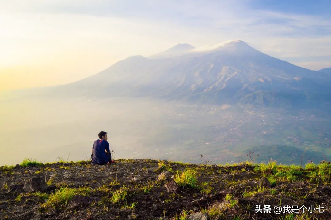 娓呭崕鍖楀ぇ鎶㈣,鍖椾含澶у鎶㈣