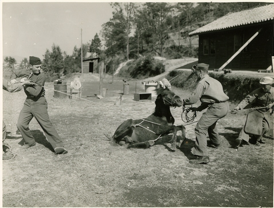 寻找马廷诲：44年后，寻回被遗忘的忠魂