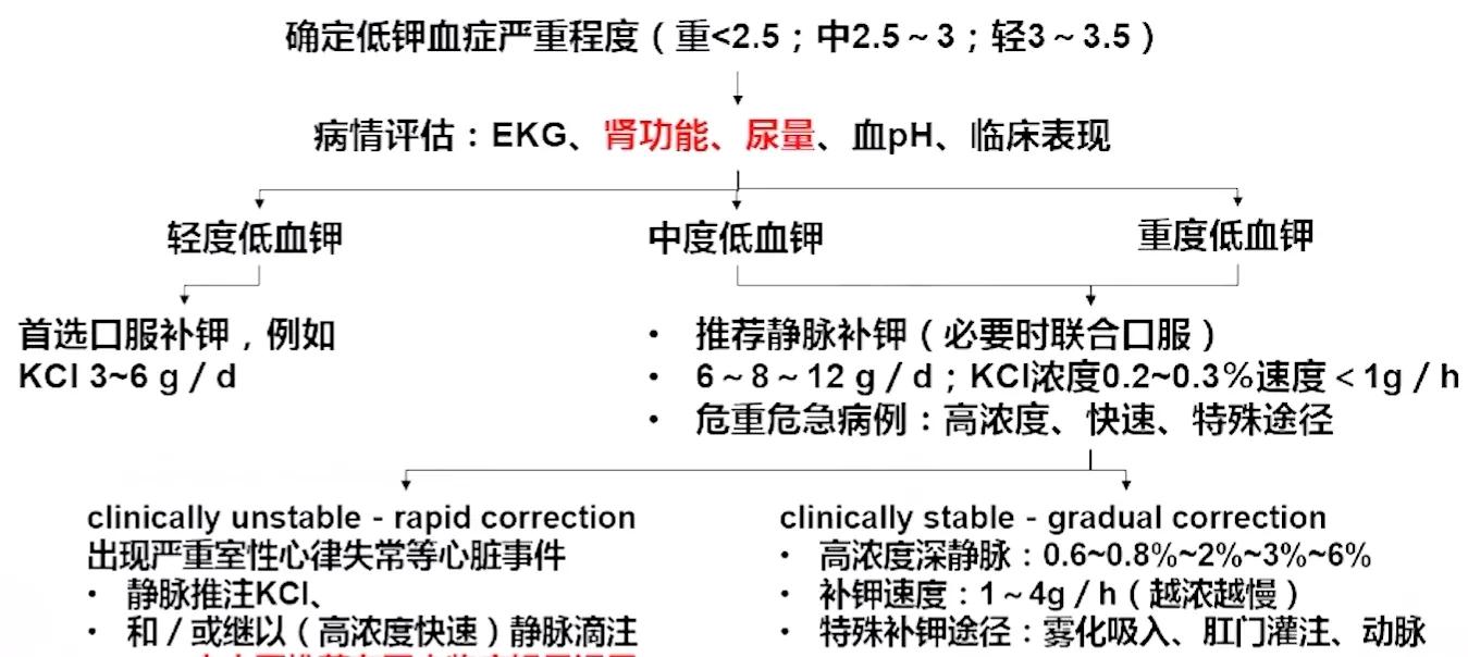 低钾血症诊疗流程图,低钾血症诊治