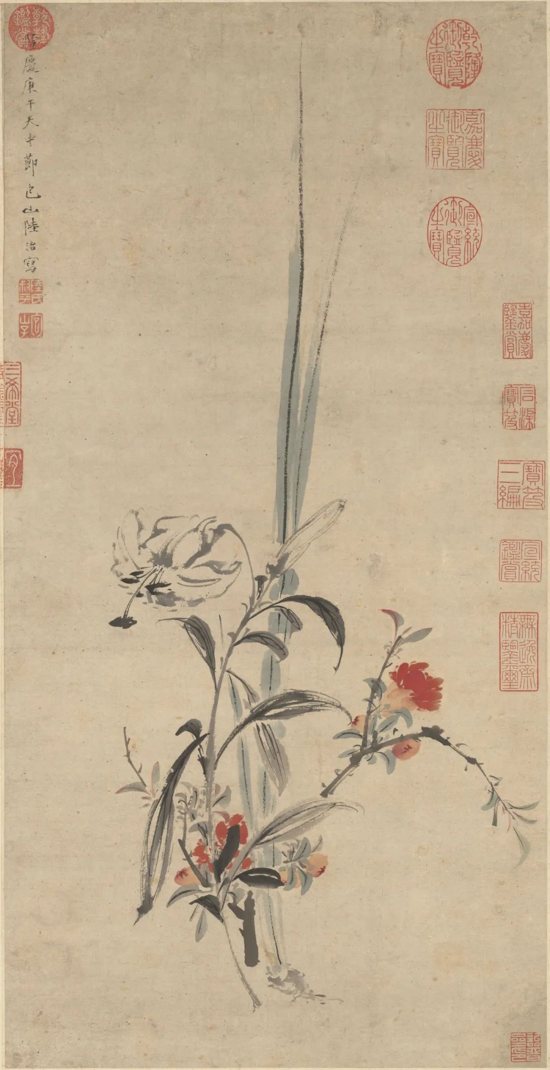 慕容看世界的视频,慕容看世界所有视频