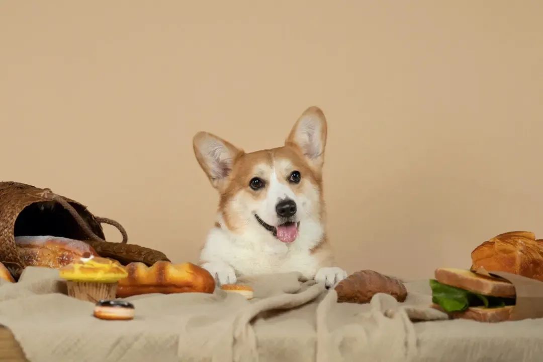 50岁不想打工能做什么小本生意,失业做什么小本生意好