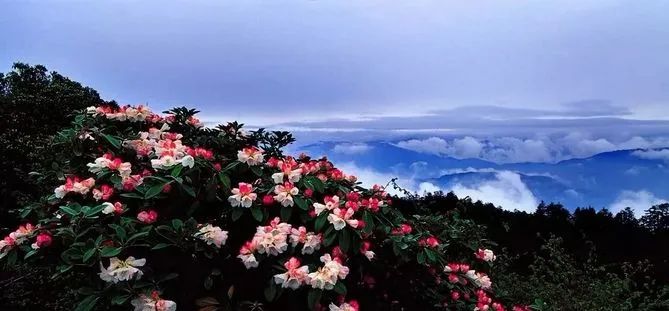 桂林雁山猫儿山,广州出发6天最适宜赏秋旅游